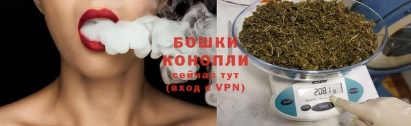 прущие крисы Белокуриха